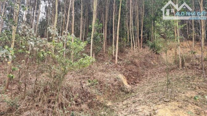 Cần bán 3,6ha đất RSX suối chảy quanh tại xã Cao Sơn, Huyện Lương Sơn, Hòa Bình. - 7