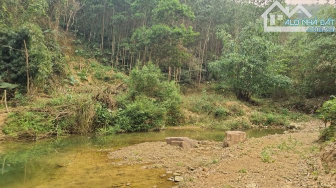 Cần bán 3,6ha đất RSX suối chảy quanh tại xã Cao Sơn, Huyện Lương Sơn, Hòa Bình. - 8