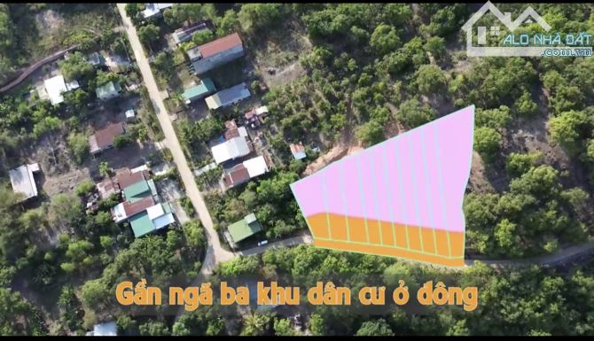 KHU DÂN CƯ ĐÔNG ĐÚC ĐƯỜNG BÊ TÔNG 5MX46M(225M2) GẦN CHỢ GIÁO XỨ XUÂN HOA 530TR
