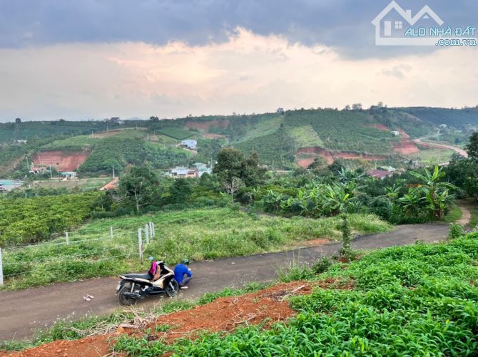 Bán giá thu hồi vốn, Lô đất 795m2 Hẻm 71 Trần Nhật Duật, Đambri, Tp. Bảo Lộc