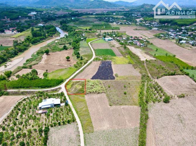 Bán đất thôn 5 Diên Đồng gần cầu treo cách Tỉnh Lộ 8 chỉ 100m - 3