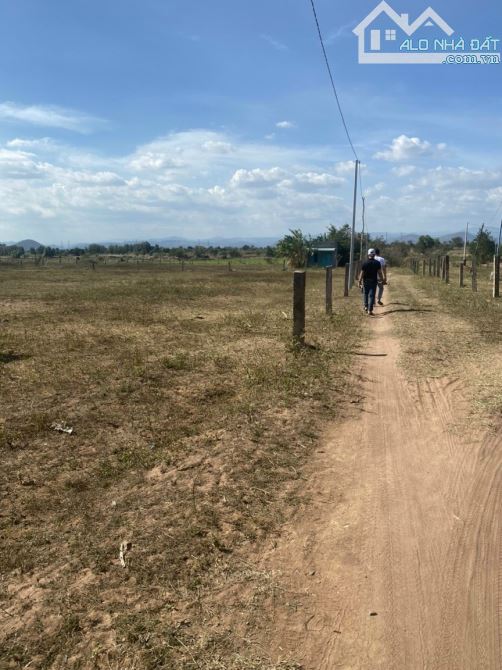 Bán 1,285m2 đất sào hồng liêm chỉ 321tr cách điểm giao cao tốc vĩnh hảo - phan thiết 4,5km