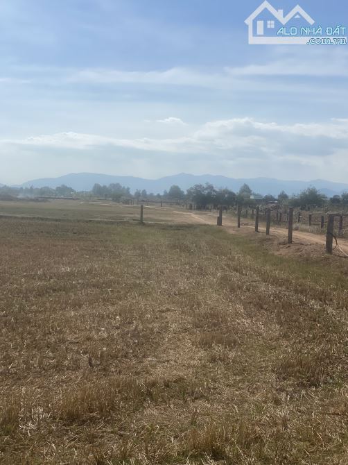 Bán 1200m2 đất hồng liêm 275tr, cách QL1A 800, có sẵn tràm, đường hiện hữu - 2