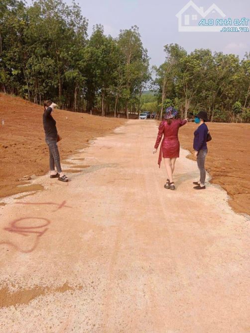 Đất chỉ hơn  200 triệu - Đất tại ấp 4 - An Khương - Huyện Hớn Quản - tỉnh Bình Phước - 4