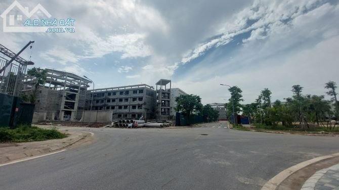 Bán Biệt thự Song Lập phố Vũ Đức Thận, Vị trí VIP, Cực Đẹp, Nhìn Là Mê. - 3