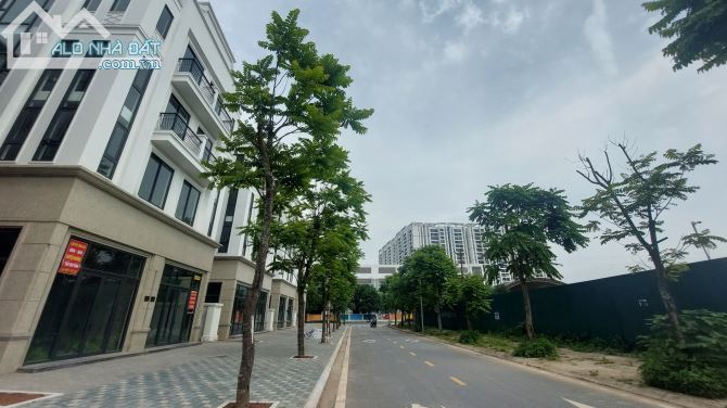Bán Biệt thự Song Lập phố Vũ Đức Thận, Vị trí VIP, Cực Đẹp, Nhìn Là Mê. - 4