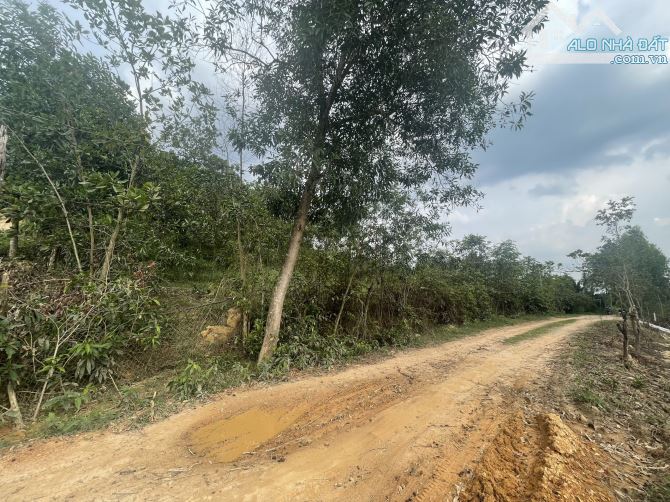Bán 60x60 đất Thổ cư Phú An, Huyện Tân Phú GIÁ RẺ NHẤT Đường xe hơi