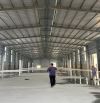 Cty cần cho thuê 3400m2 xưởng zamin Văn Lâm, chỉ 45k/m2