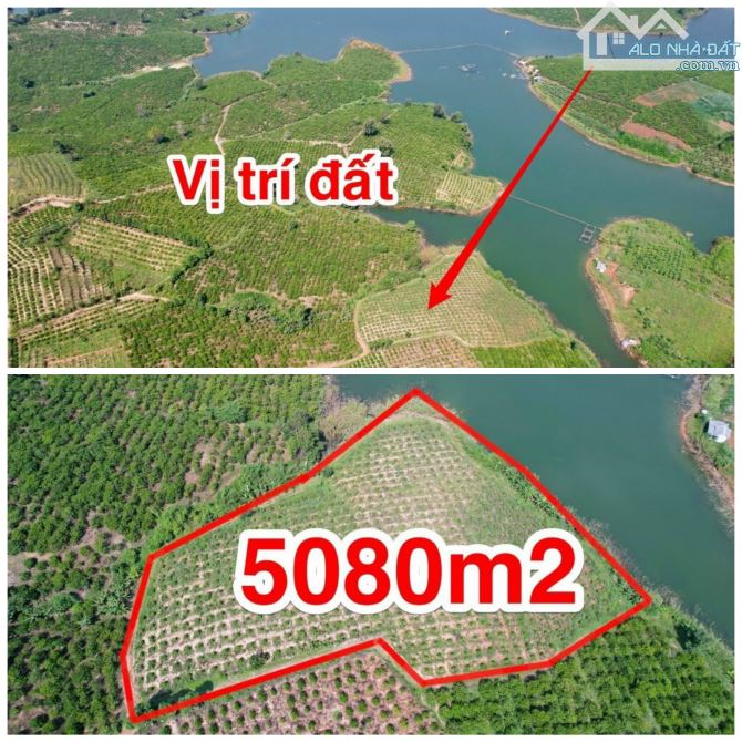 ✨ View hồ đỉnh cao, giáp hồ, lại giáp suối. Thế đất cao ráo, bao quát toàn cảnh - 679 Tr