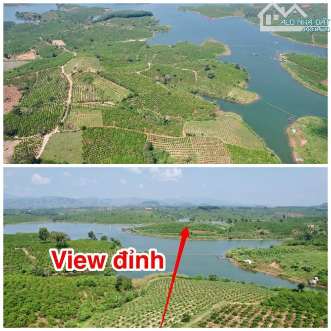 ✨ View hồ đỉnh cao, giáp hồ, lại giáp suối. Thế đất cao ráo, bao quát toàn cảnh - 679 Tr - 1