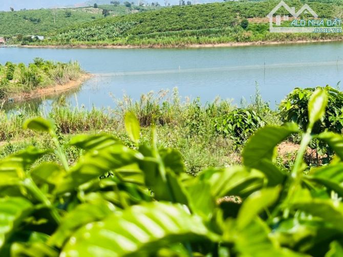 ✨ View hồ đỉnh cao, giáp hồ, lại giáp suối. Thế đất cao ráo, bao quát toàn cảnh - 679 Tr - 2