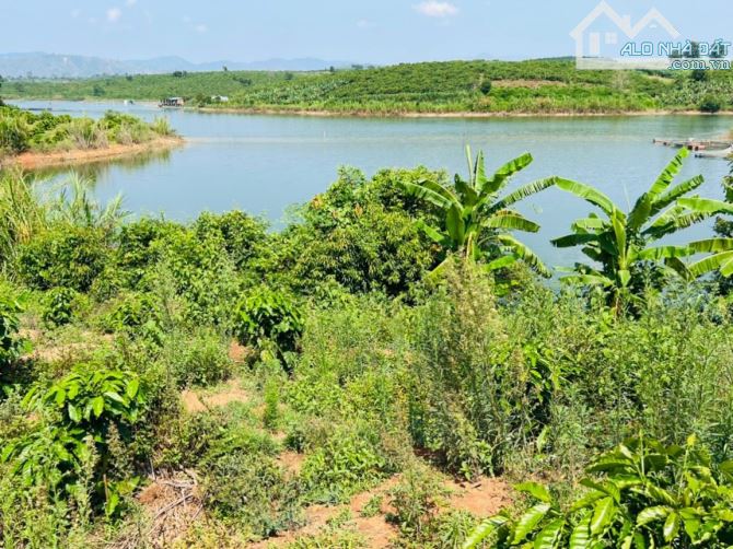 ✨ View hồ đỉnh cao, giáp hồ, lại giáp suối. Thế đất cao ráo, bao quát toàn cảnh - 679 Tr - 3
