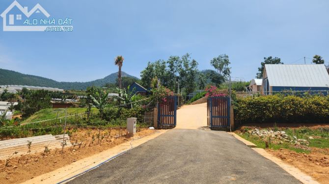 bán lô đất lạc dương ngay đường đi langbian di tân thị trấn lạc dương đà lạt view đẹp