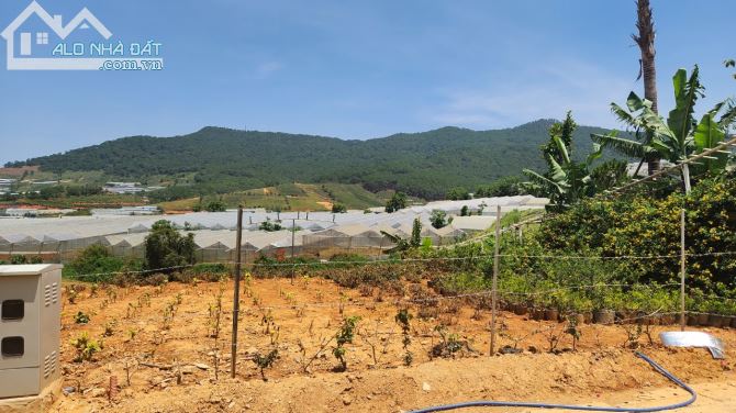 bán lô đất lạc dương ngay đường đi langbian di tân thị trấn lạc dương đà lạt view đẹp - 1