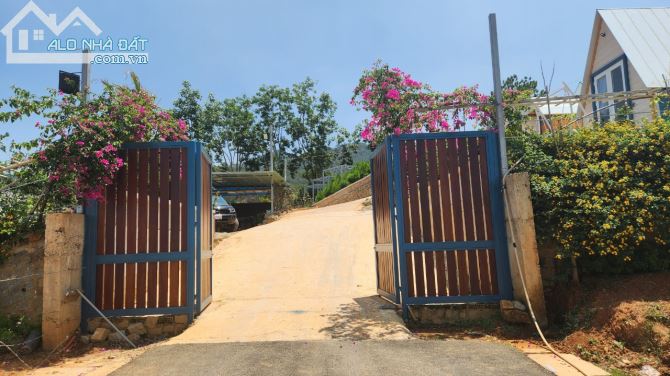 bán lô đất lạc dương ngay đường đi langbian di tân thị trấn lạc dương đà lạt view đẹp - 3