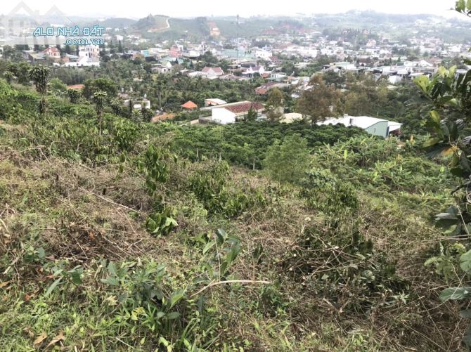 698m2 Bảo Lộc gần ql20 chỉ 800tr, view đẹp
