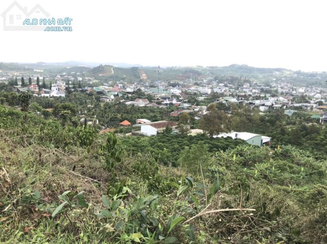 698m2 Bảo Lộc gần ql20 chỉ 800tr, view đẹp - 1