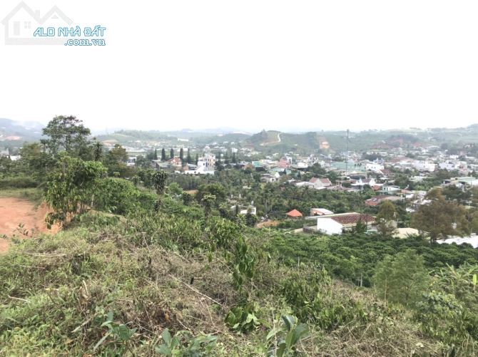 698m2 Bảo Lộc gần ql20 chỉ 800tr, view đẹp - 3