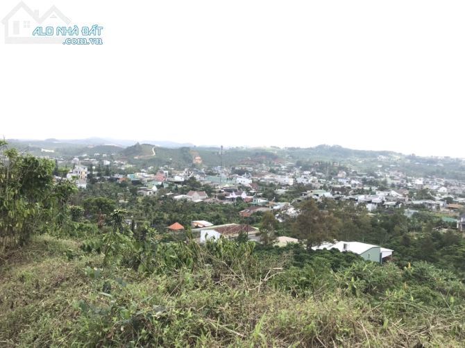 698m2 Bảo Lộc gần ql20 chỉ 800tr, view đẹp - 4