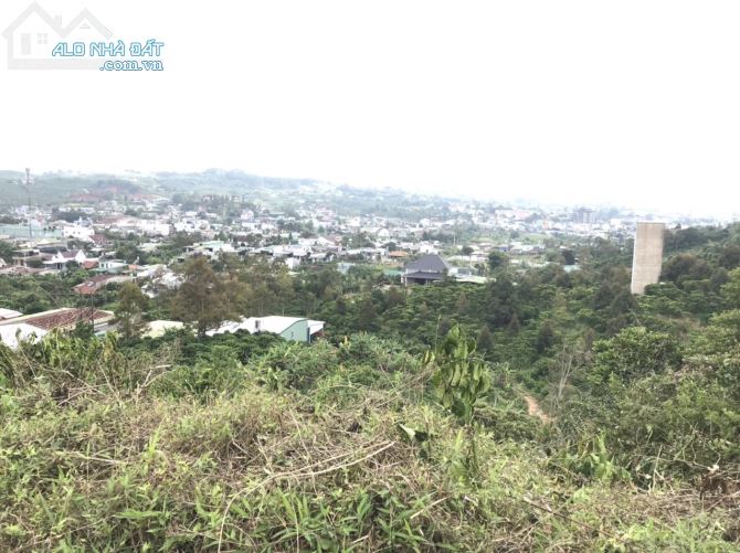 698m2 Bảo Lộc gần ql20 chỉ 800tr, view đẹp - 5