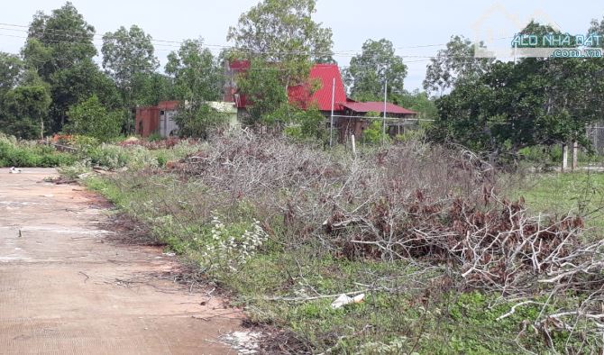 Giỏ Hàng đất Mẫu giá Rẻ-Gần Sân Bay Thiện Nghiệp-Phan Thiết-Bình Thuận - 2