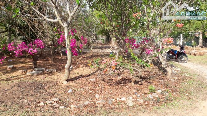Đại hạ giá-Đất gần DT715,gần Võ Nguyên Giáp-Thiện Nghiệp-Phan Thiết-DT 4.740m2 - 3
