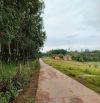 Bán đất gần trường học Nguyễn Bá Ngọc 12x90x200tc giá 100tr/m