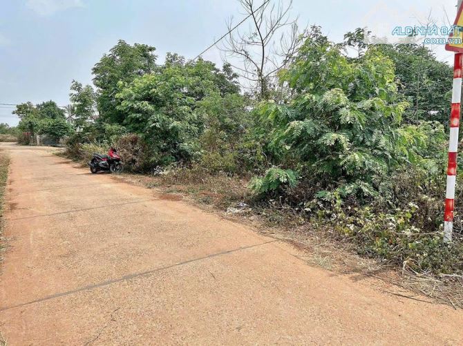 có 1 lô đất rẻ nhất KOMLEO - HÒA THẮNG -BMT gần đường VÕ NGUYÊN GIÁP - 1