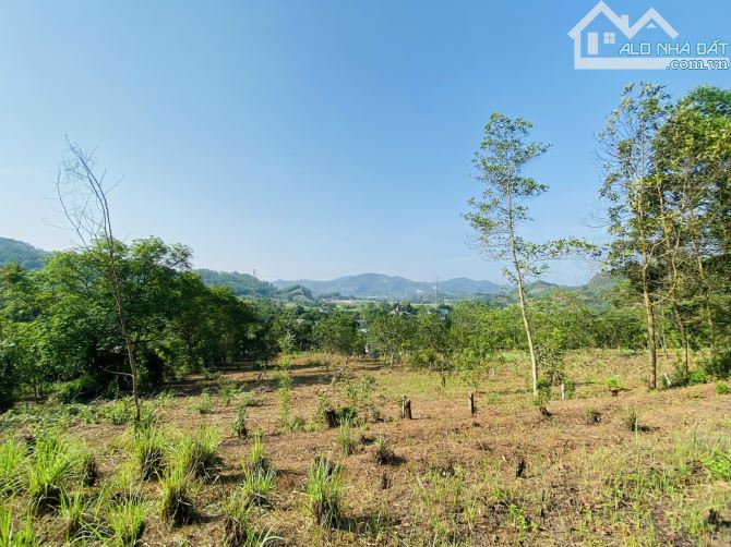 BÁN GẤP LÔ ĐẤT VIEW CÁNH ĐỒNG TRIỆU ĐÔ CHỈ CÁCH ĐƯỜNG CAO TỐC CÓ 500m