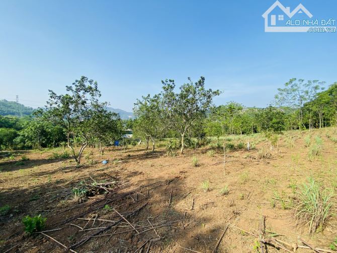 BÁN GẤP LÔ ĐẤT VIEW CÁNH ĐỒNG TRIỆU ĐÔ CHỈ CÁCH ĐƯỜNG CAO TỐC CÓ 500m - 1
