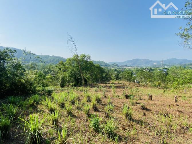 BÁN GẤP LÔ ĐẤT VIEW CÁNH ĐỒNG TRIỆU ĐÔ CHỈ CÁCH ĐƯỜNG CAO TỐC CÓ 500m - 4