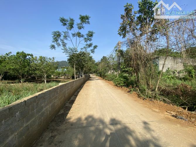 BÁN GẤP LÔ ĐẤT VIEW CÁNH ĐỒNG TRIỆU ĐÔ CHỈ CÁCH ĐƯỜNG CAO TỐC CÓ 500m - 6