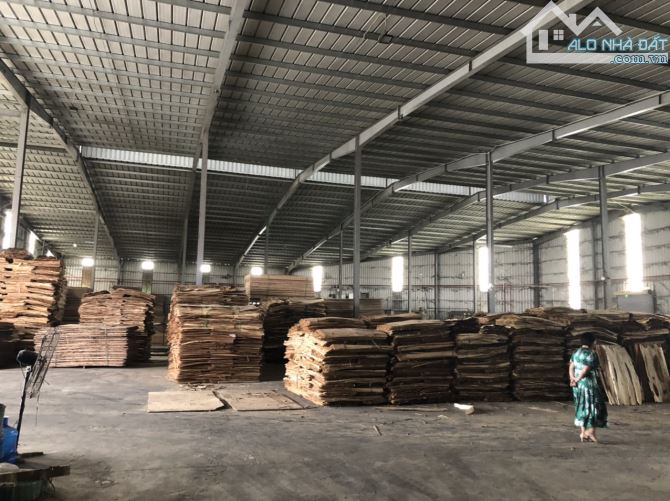 Cho thuê kho 2500m2 tại đường Đào Cam Mộc, kho mới đẹp, cao 9m,nhận kho ngay,