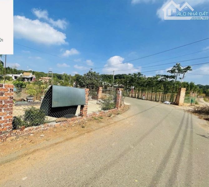 BÁN VƯỜN THANH LONG 4.500M2, CÁCH ĐƯỜNG XUÂN SƠN-ĐÁ BẠC CHỈ 1.5KM, GIÁ CHỈ 580TR/1000M2