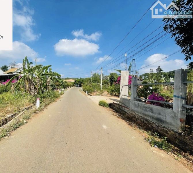 BÁN VƯỜN THANH LONG 4.500M2, CÁCH ĐƯỜNG XUÂN SƠN-ĐÁ BẠC CHỈ 1.5KM, GIÁ CHỈ 580TR/1000M2 - 2