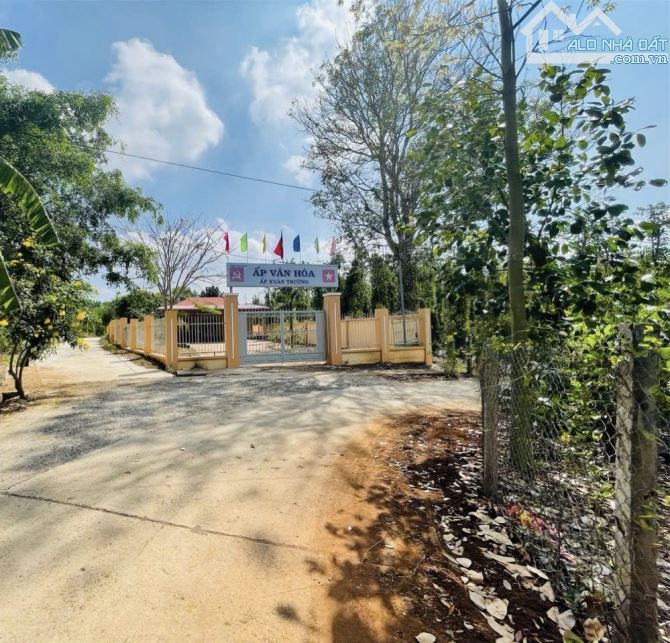 BÁN VƯỜN THANH LONG 4.500M2, CÁCH ĐƯỜNG XUÂN SƠN-ĐÁ BẠC CHỈ 1.5KM, GIÁ CHỈ 580TR/1000M2 - 3