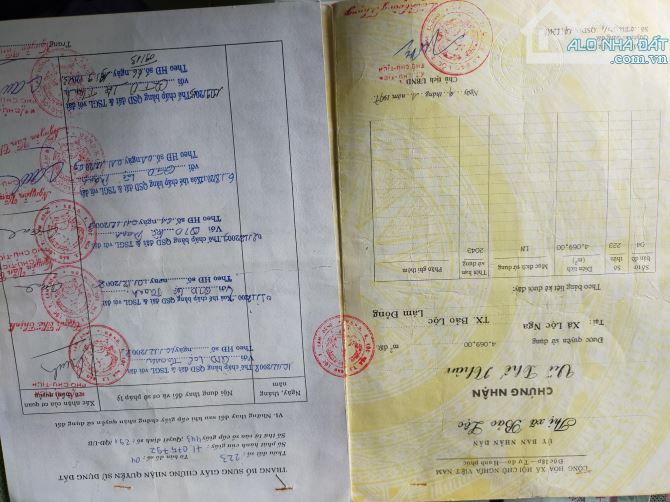( TIN ĐẶC BIỆT ) LÔ ĐẤT 4100m NGAY XÃ LỘC NGA TP BẢO LỘC CHỈ 4,6 TỶ - 2