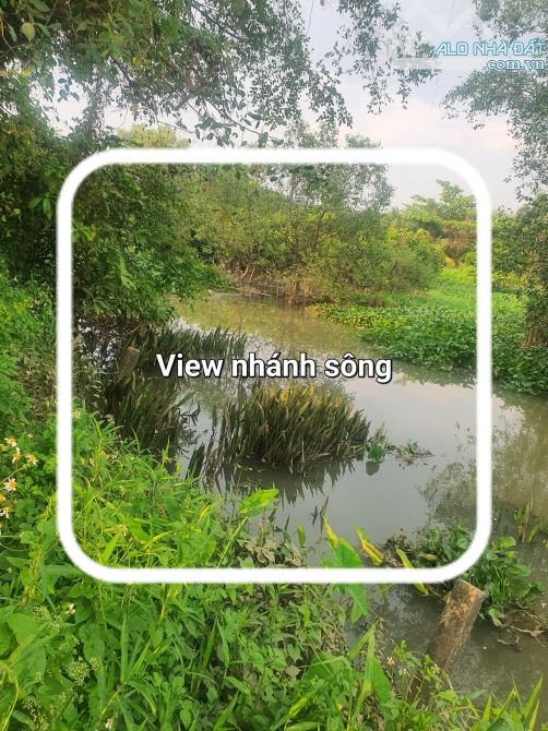 Đất sào mặt tiền đường Đỗ Văn Thi