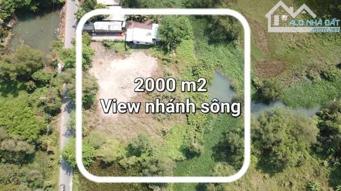 Đất sào mặt tiền đường Đỗ Văn Thi - 3