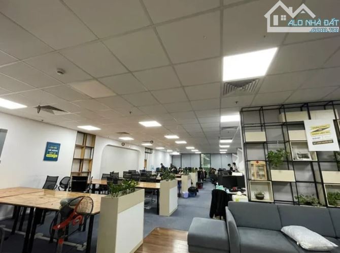 Cho thuê văn phòng: 35m 6 triệu; 45m 8 triệu; 65m 11 triệu; 310m 45 triệu. Trần Khát Trân - 6