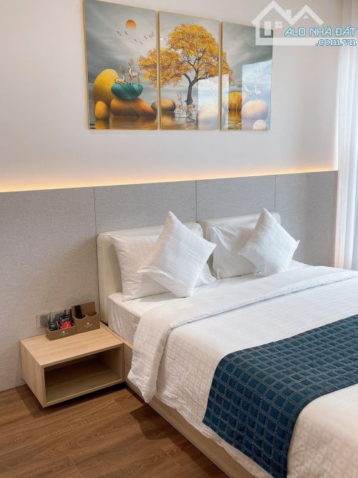 Bán căn hộ ngay trung tâm Tp Đà Nẵng, diện tích 82m2, 2 ban công, nội thất cao cấp - 2