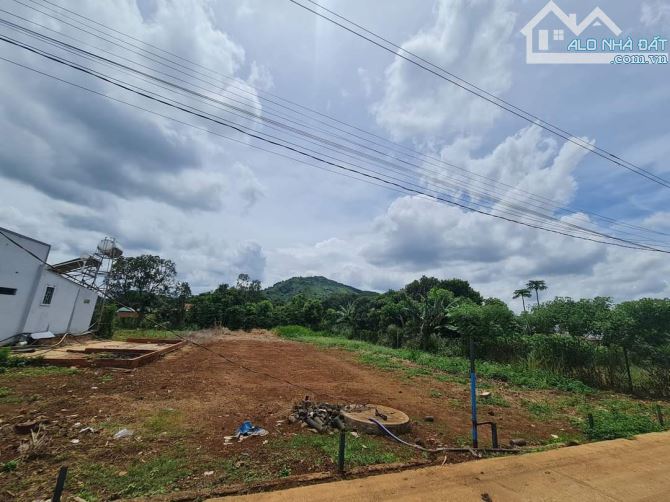 Đất Bồng Lai, Hiệp Thạnh, Đức Trọng. Đường bê tông thông nhau - 2