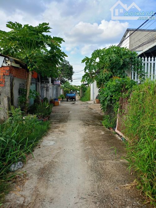 Đất hẻm 239, đường Nguyễn Văn Rành, P7, TP Tân An - 1