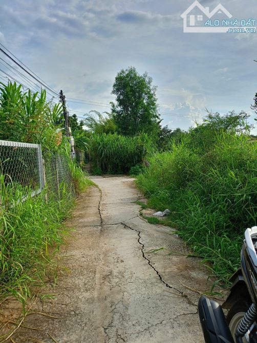 Đất hẻm 239, đường Nguyễn Văn Rành, P7, TP Tân An - 2