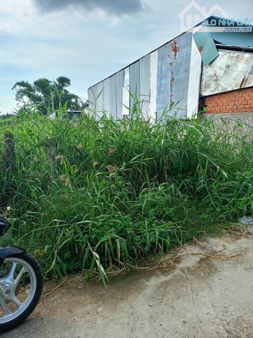 Đất hẻm 239, đường Nguyễn Văn Rành, P7, TP Tân An - 3
