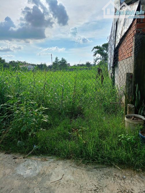 Đất hẻm 239, đường Nguyễn Văn Rành, P7, TP Tân An - 4