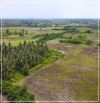 Bán đất lô 1000m2 Nhơn Trạch - Đồng Nai - khu liền kề Quận 2, giá chỉ hơn 1,1 triệu/m2