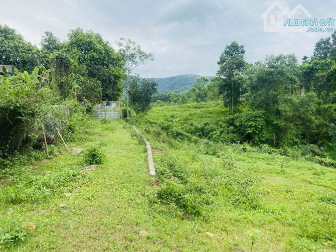 BÁN GẤP LÔ ĐẤT CÓ DT 4248m2 SẴN 400m2 ONT XUNG QUANH TOÀN LÀ RESORT - 16