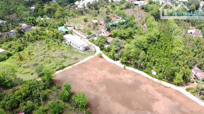 Bán đất vườn huyện Định Quán, Đồng Nai, 1,1 hecta đất trồng cây, sát trung tâm - 10