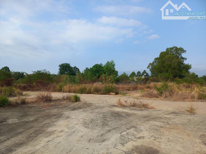 Bán gấp đất mặt tiền quốc lộ 1A 19500m2, Xuân Hiệp,Xuân Lộc - 2